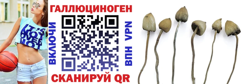 Галлюциногенные грибы ЛСД  Димитровград 